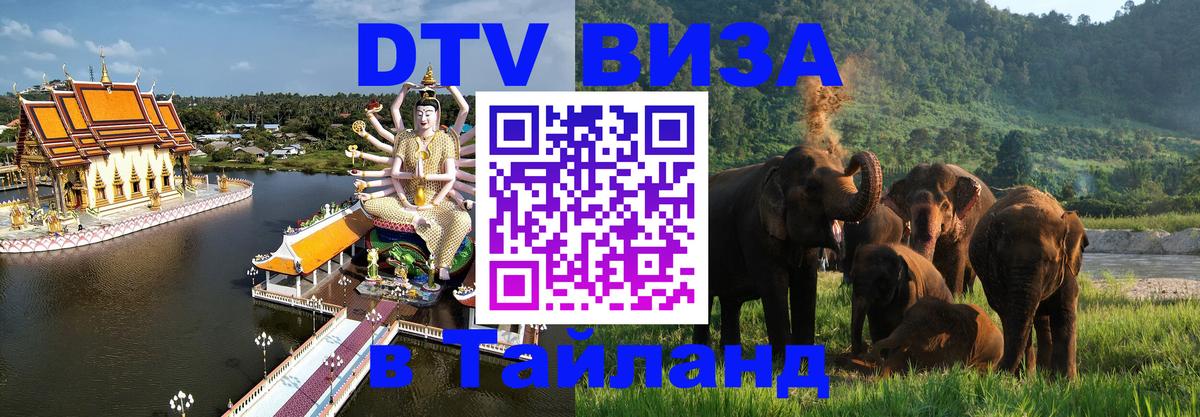 Сколько стоит DTV виза — актуальные цены, оформление даже без документов - 04.10.2025 